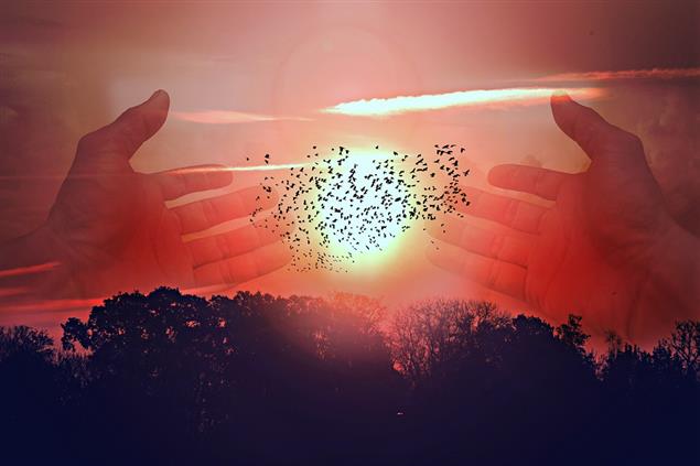 神，不是你印象中躲在神像內的靈體