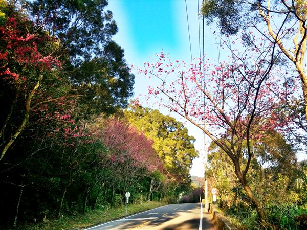 2015-02-01 16.37.12-1.jpg