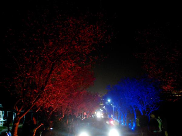 2015-02-13 20.39.25.jpg