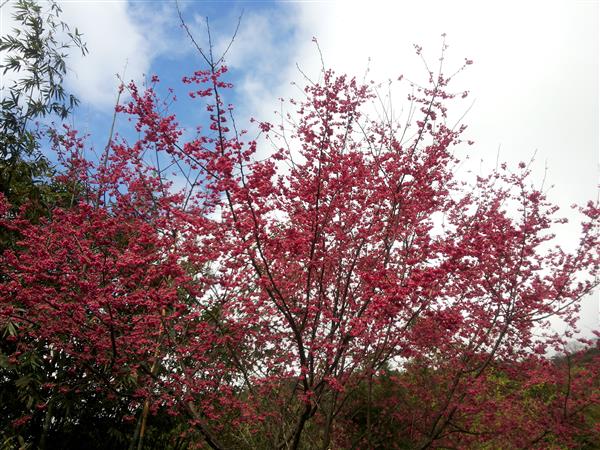 2015-02-01 13.35.11-2.jpg