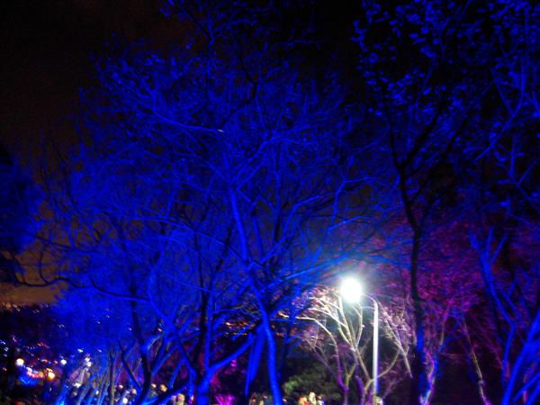 2015-02-13 20.33.16.jpg