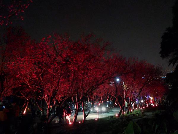 2015-02-13 20.42.33.jpg