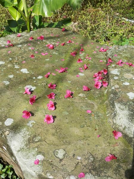 2015-02-01 12.47.40.jpg