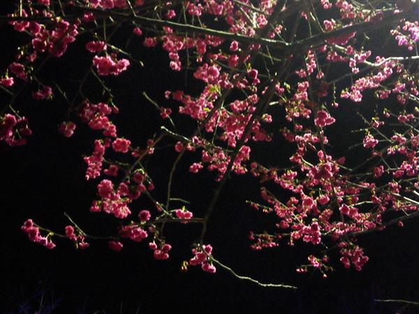 2015-02-13 20.36.55.jpg