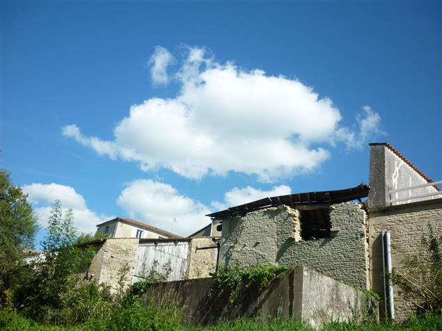 「原來　幸褔一直都在」居然讓讀者哭了