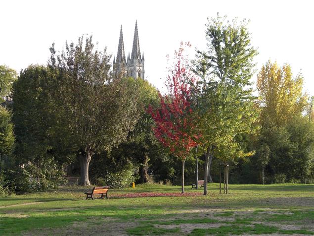 誰是我的守護天使　走出窠臼的校園推理小說