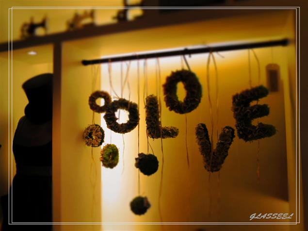 亂談速寫－《痛點》