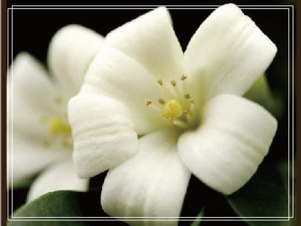 捨不得讓你受到一點委屈