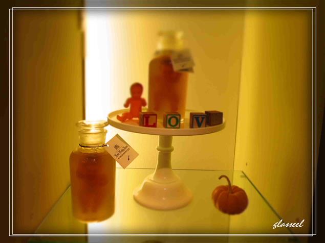 夢的旋轉門－－作者與編輯