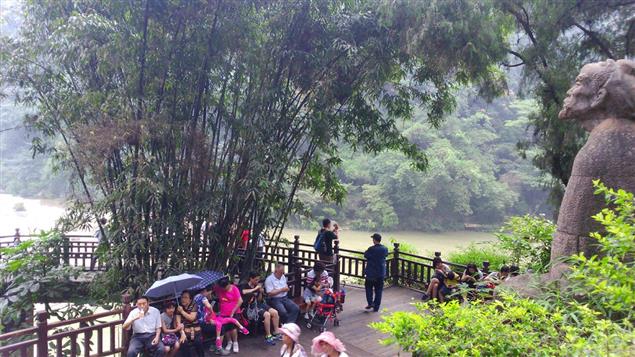 （詩說）時光之悟／ 隱沒的絕句(賈島〈尋隱者不遇〉)