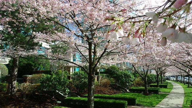 （美學）寫作現場──從李商隱〈錦瑟〉四個典故談起