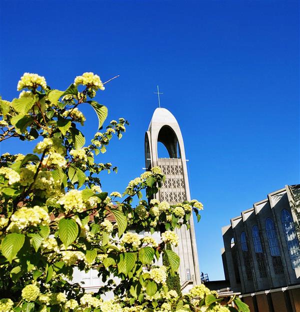 240511Westminster Abbey03.jpg