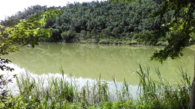 戀愛神聖論的反動－－戀愛破滅論　◎陳慧文