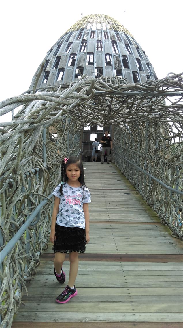 紫色的苦楝(一)@陳慧文