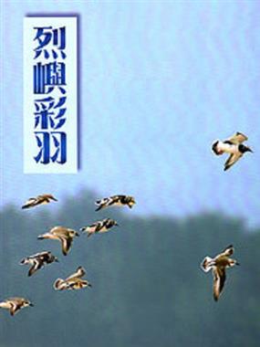 烈嶼彩羽－生態及鳥類解說旅遊手冊