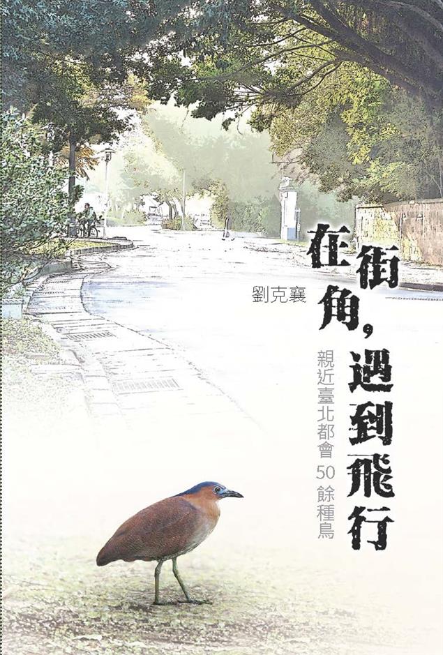 《在街角，遇到飛行》親近臺北都會50餘種鳥