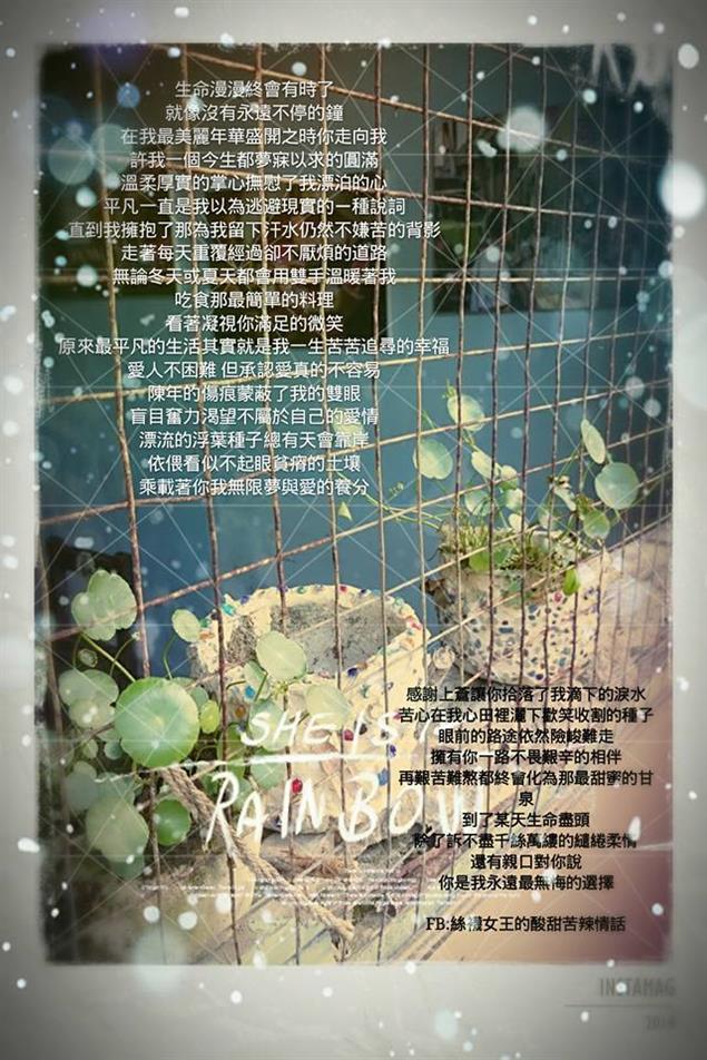 To my 小菊花