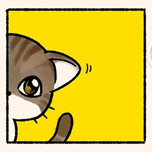 【胖打與北七熊日記】不是我家的貓