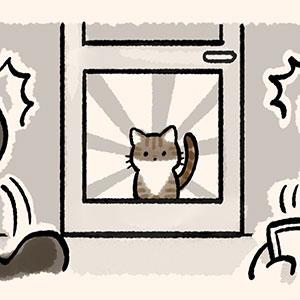 【胖打與北七熊日記】終於要去看獸醫了