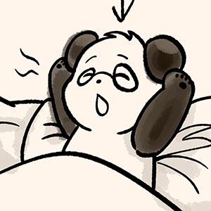 【胖打與北七熊日記】早起熊