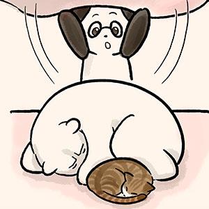 【胖打與北七熊日記】眼不見為淨