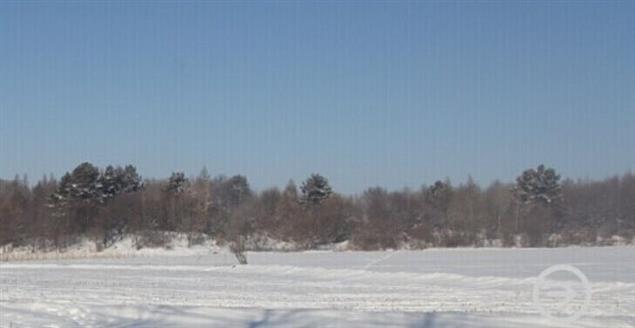 中篇小说《婚姻往事》（第六部分）