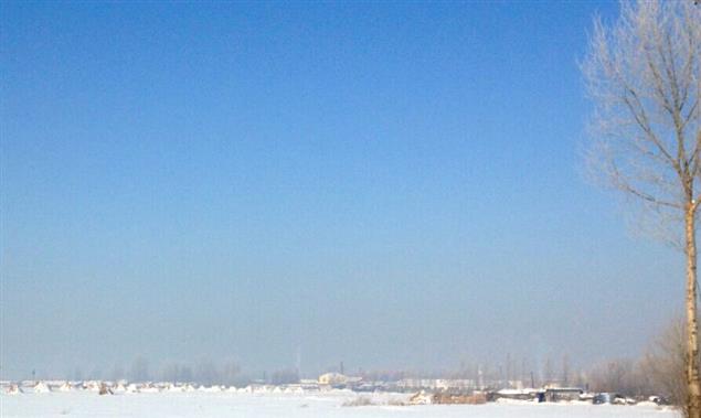 散文第二辑〈故乡的雪〉之〈花痴女人〉