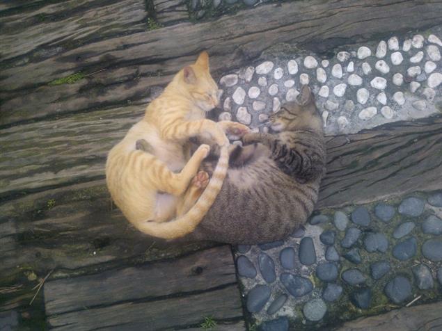 匿名告白－０６