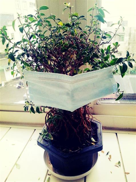 匿名告白－１０