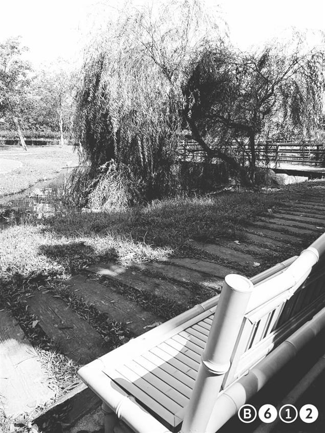 匿名告白－１８