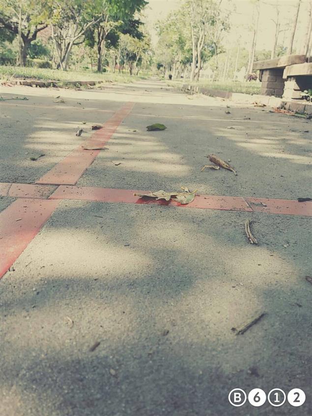 匿名告白－１９