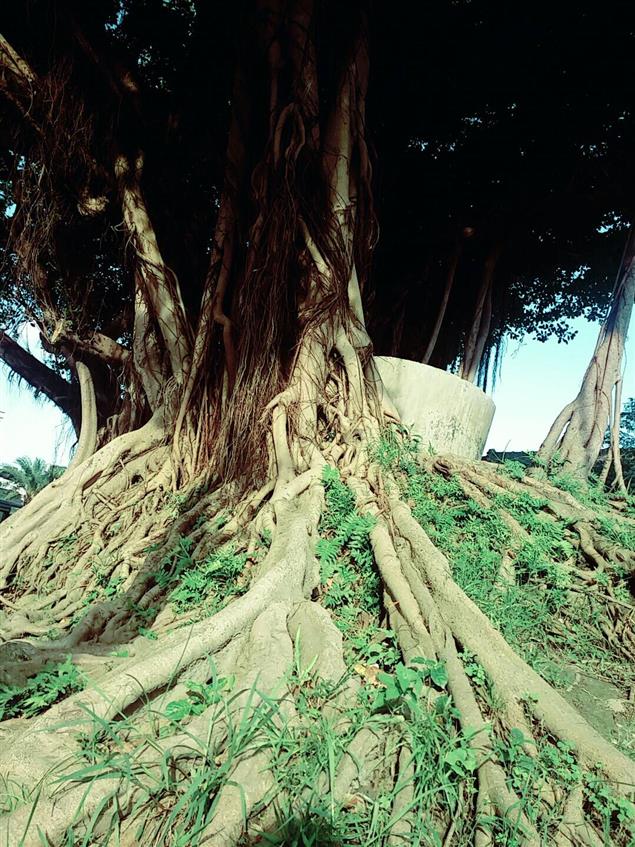 匿名告白－３７