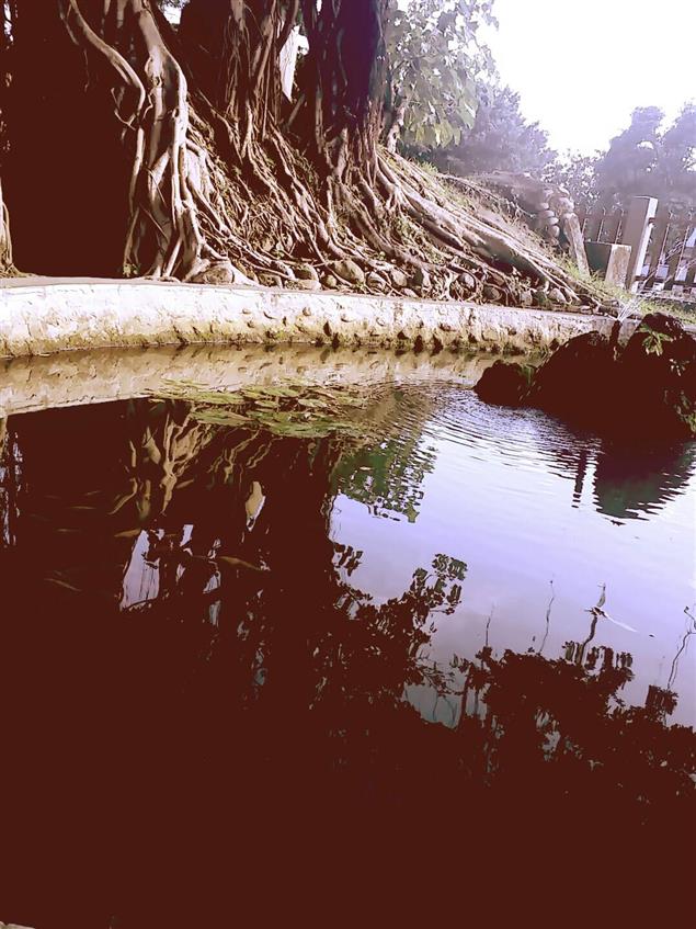 匿名告白－番外二：真相（上）