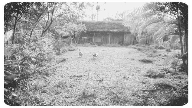 很漂亮那戴花冠的少女正在唱歌-人物與地域簡介(持續更新)