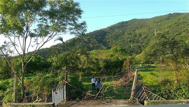 很漂亮那戴花冠的少女正在唱歌-第二章-01