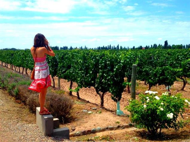 【旅途中 ﹒ 一二事 有關揚】 