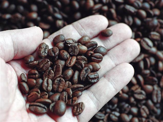 和食古早味》咖啡之神：關口一郎