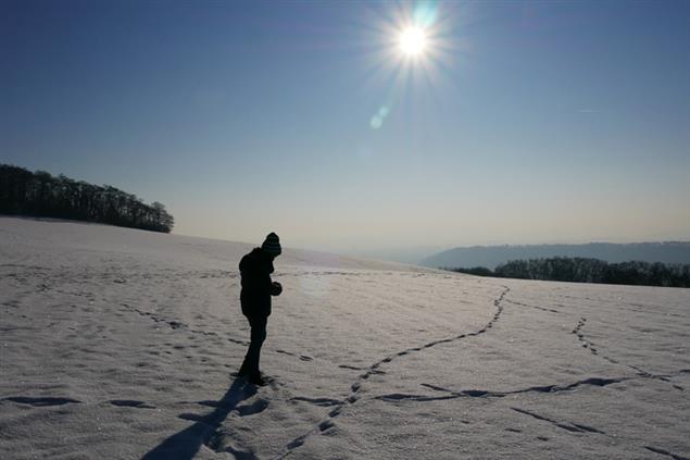 誰都可以，就是想殺人》欲求不滿攻擊假說