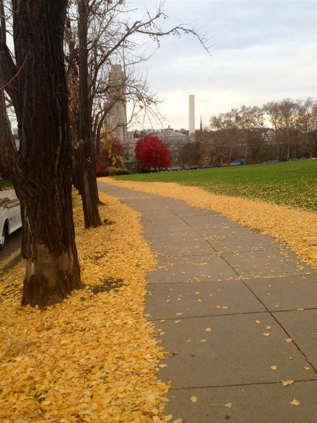 《那一年，在匹茲堡》