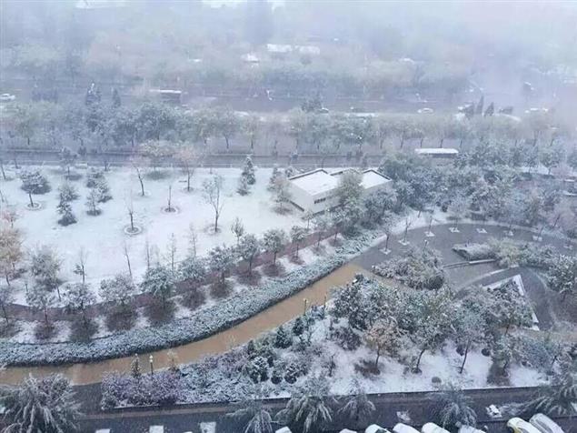 子陽：自學成才的“市場型”暢銷書作家