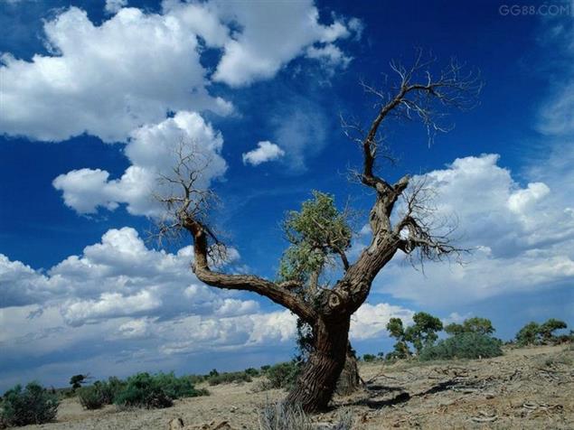 有趣的自然現象