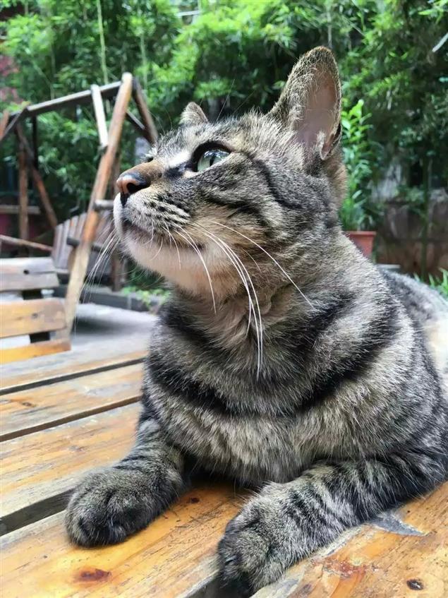 我在最好的年華裡都付出在了讀書和寫作上