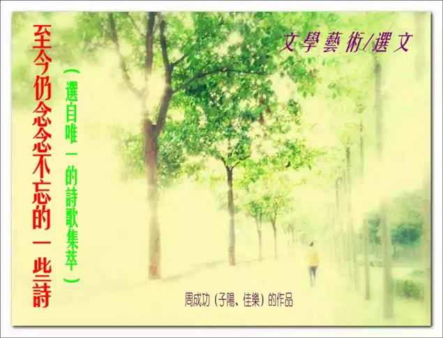 至今仍念念不忘的一些詩（選自唯一的詩歌集萃）