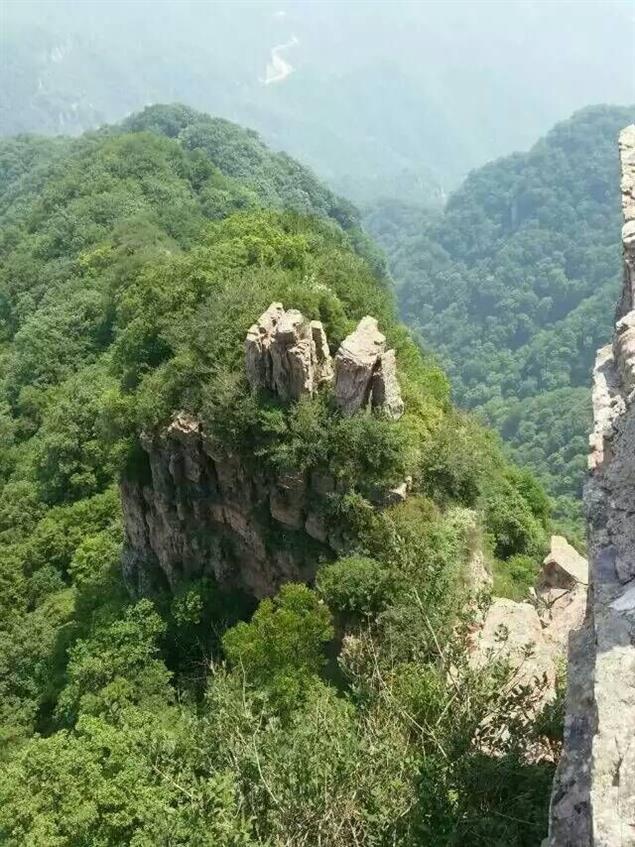 不想獲諾貝爾文學獎的理工男不是好作家