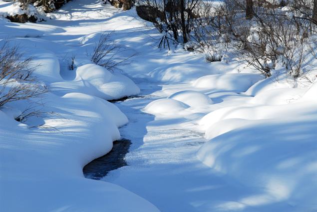 你可能一輩子讀不到的我的散文