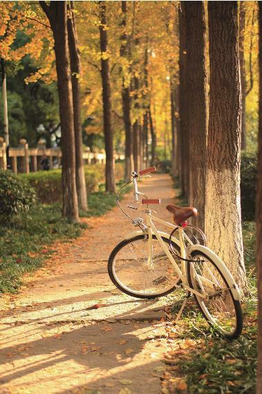 那些未知的路途，值得你去嘗試