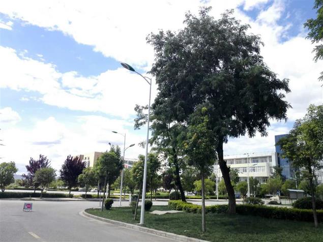 夢想不搞笑，只要你還相信