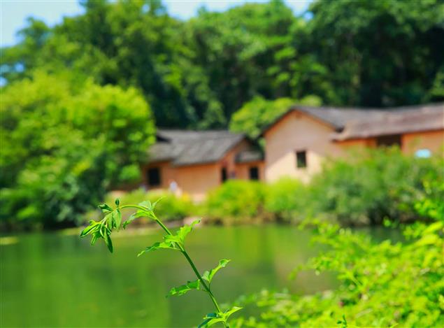 是誰給起的真名？