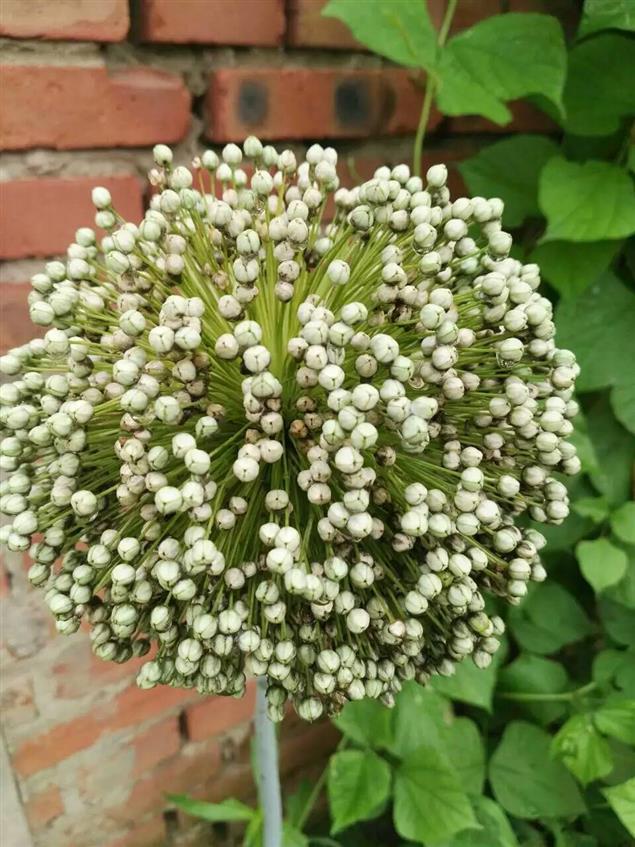 要相信，你是最好的自己