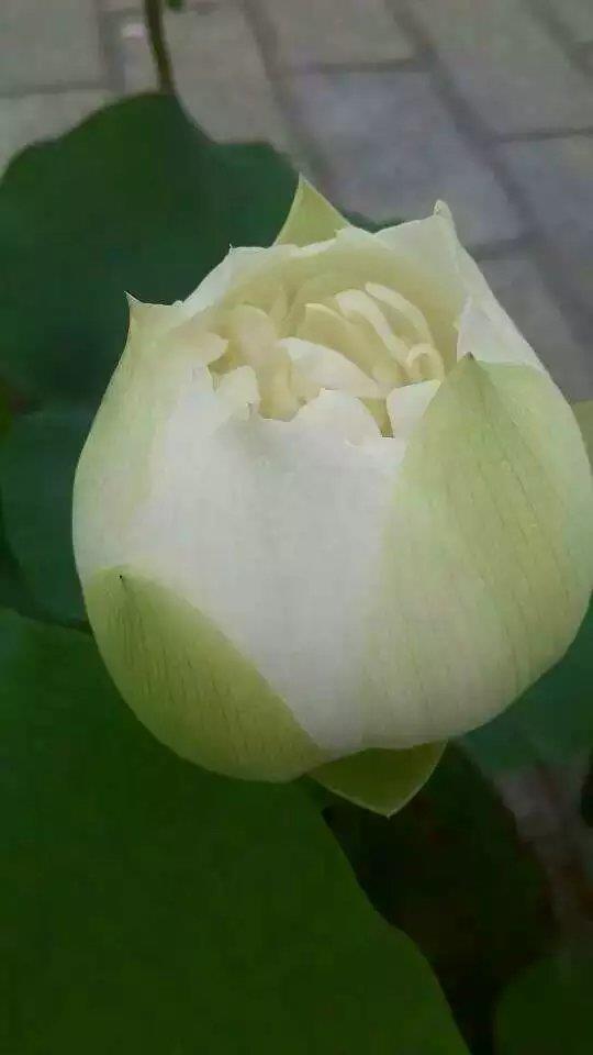 我对你重不重要